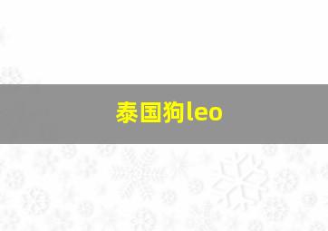 泰国狗leo