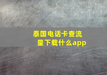 泰国电话卡查流量下载什么app