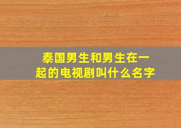 泰国男生和男生在一起的电视剧叫什么名字