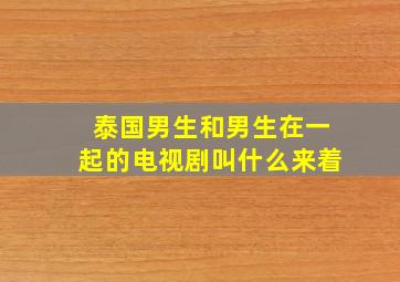 泰国男生和男生在一起的电视剧叫什么来着