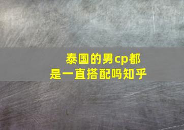 泰国的男cp都是一直搭配吗知乎