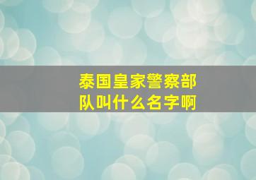 泰国皇家警察部队叫什么名字啊