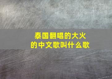 泰国翻唱的大火的中文歌叫什么歌