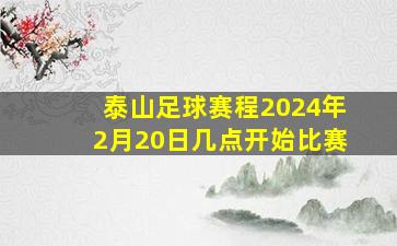 泰山足球赛程2024年2月20日几点开始比赛