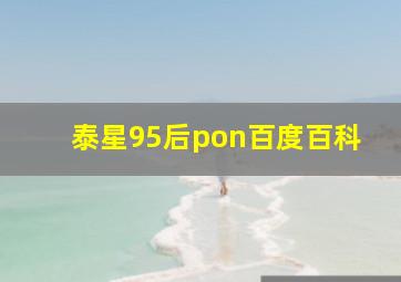 泰星95后pon百度百科