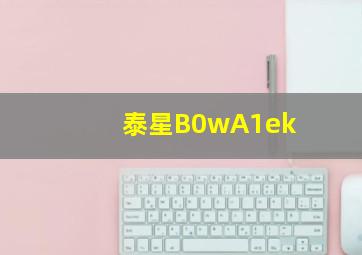 泰星B0wA1ek