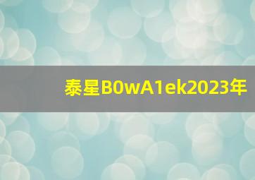 泰星B0wA1ek2023年