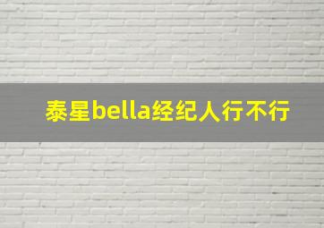 泰星bella经纪人行不行