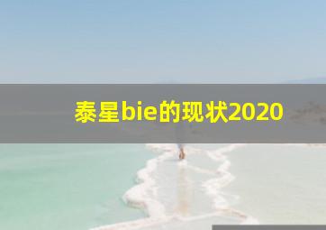 泰星bie的现状2020