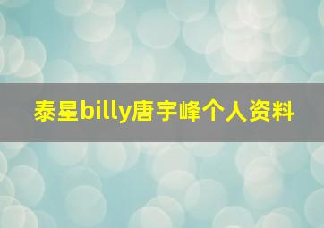 泰星billy唐宇峰个人资料