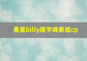 泰星billy唐宇峰新组cp