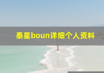 泰星boun详细个人资料