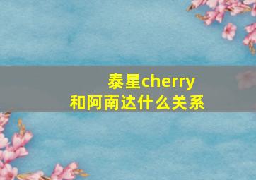 泰星cherry和阿南达什么关系