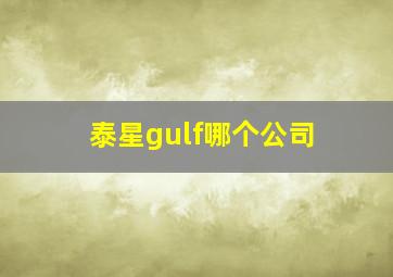 泰星gulf哪个公司