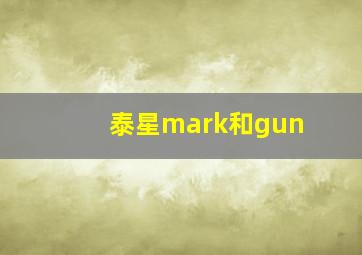 泰星mark和gun