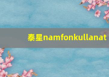 泰星namfonkullanat