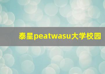 泰星peatwasu大学校园