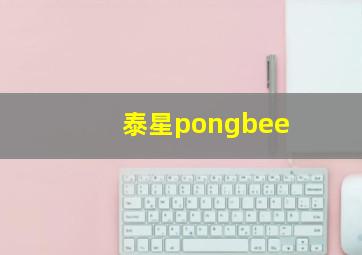 泰星pongbee