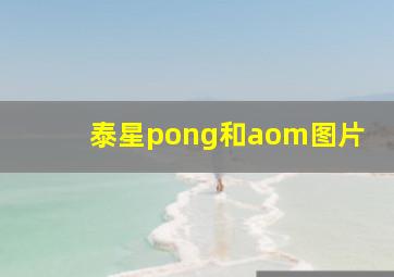 泰星pong和aom图片