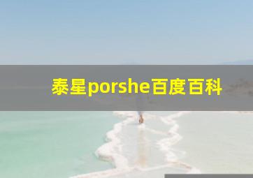 泰星porshe百度百科