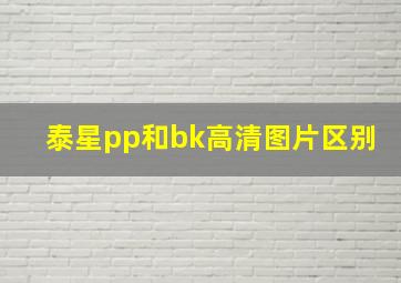 泰星pp和bk高清图片区别