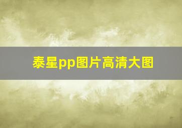 泰星pp图片高清大图