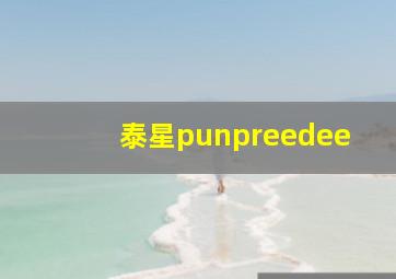 泰星punpreedee