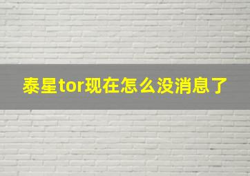 泰星tor现在怎么没消息了