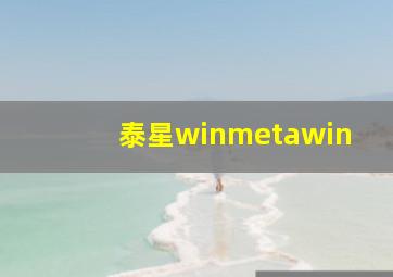 泰星winmetawin