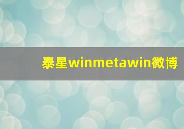 泰星winmetawin微博