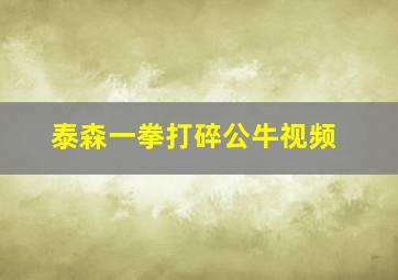 泰森一拳打碎公牛视频