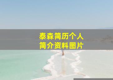 泰森简历个人简介资料图片