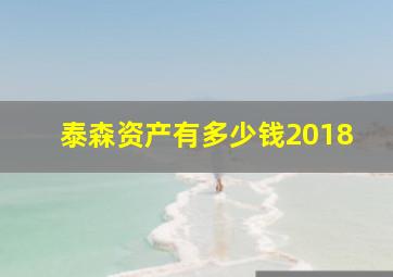 泰森资产有多少钱2018