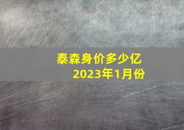 泰森身价多少亿2023年1月份