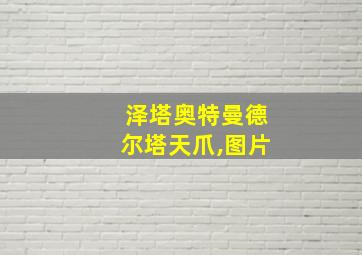 泽塔奥特曼德尔塔天爪,图片