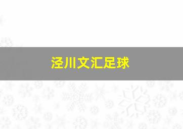 泾川文汇足球