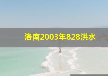 洛南2003年828洪水