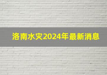 洛南水灾2024年最新消息