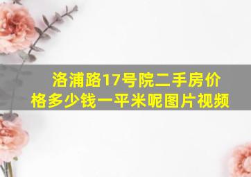 洛浦路17号院二手房价格多少钱一平米呢图片视频