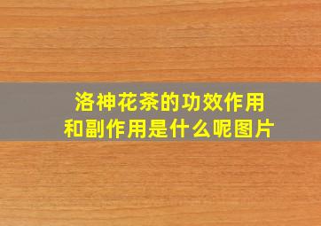 洛神花茶的功效作用和副作用是什么呢图片