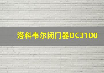 洛科韦尔闭门器DC3100