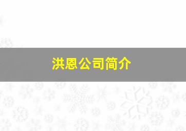 洪恩公司简介