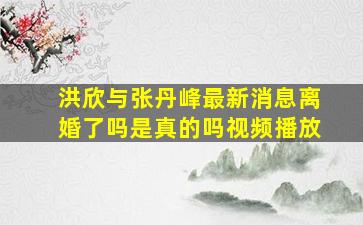 洪欣与张丹峰最新消息离婚了吗是真的吗视频播放