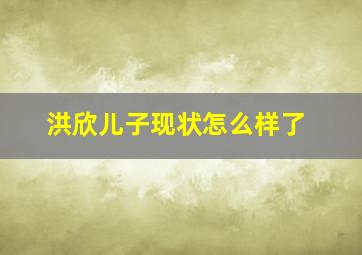 洪欣儿子现状怎么样了