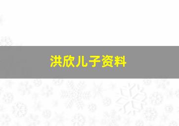 洪欣儿子资料