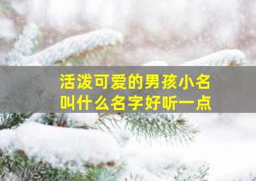 活泼可爱的男孩小名叫什么名字好听一点