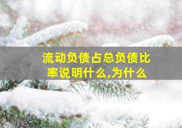 流动负债占总负债比率说明什么,为什么