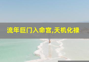 流年巨门入命宫,天机化禄