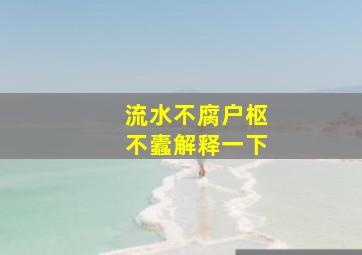 流水不腐户枢不蠹解释一下