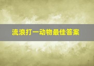 流浪打一动物最佳答案